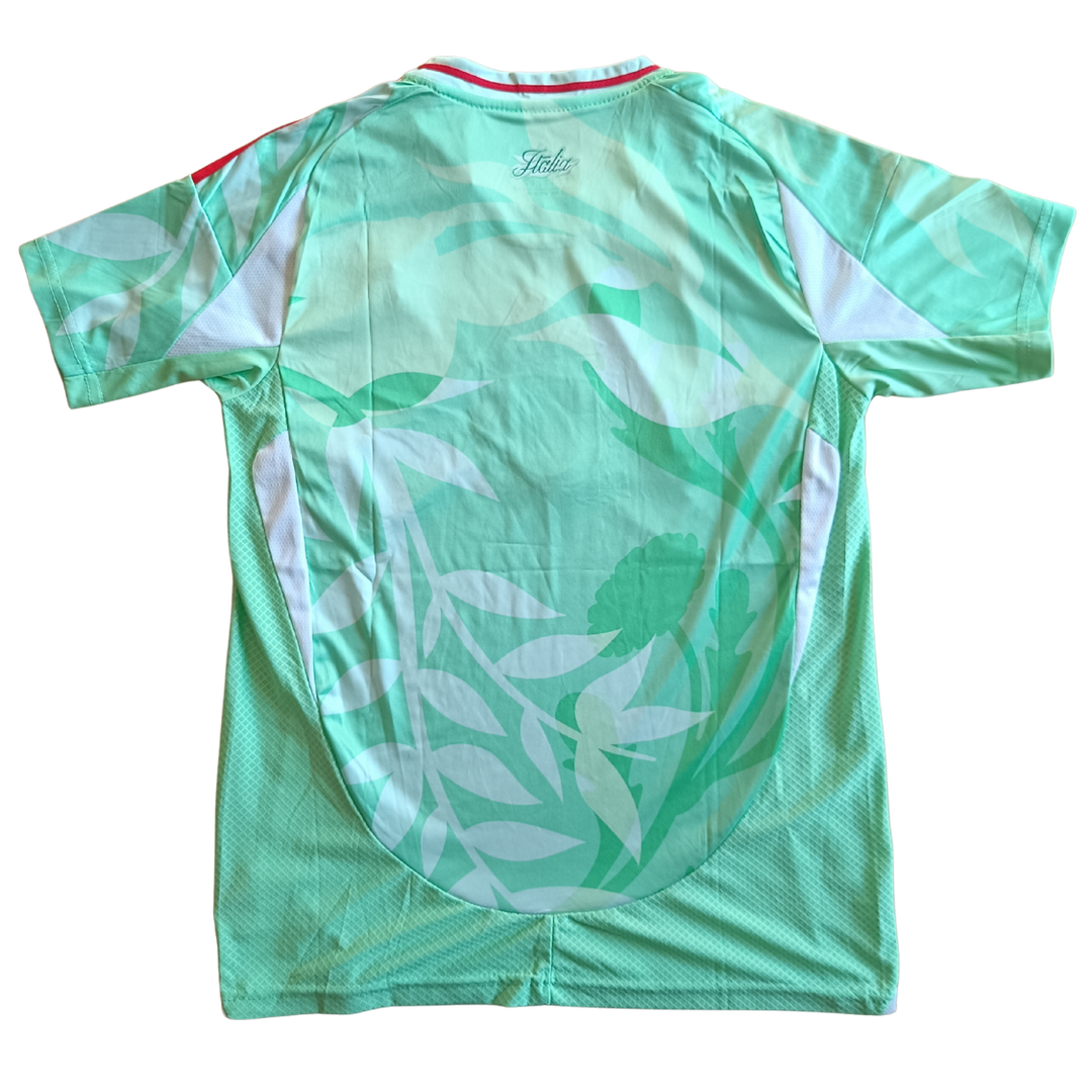 MAILLOT ITALIE CUSTOM BRODÉ